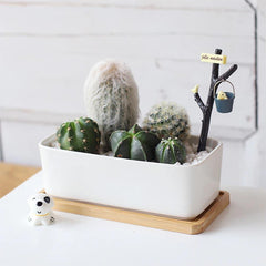 صواني زراعة وصحون من الخيزران الطبيعي