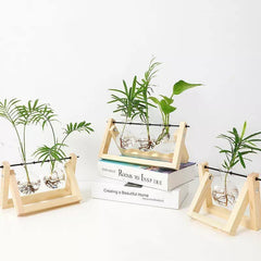 Glass Propagation Vase with A-Frame Wooden Stand
