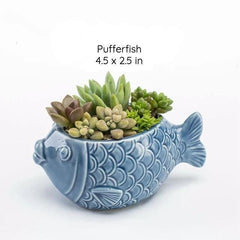 Under the Sea Planters