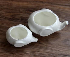 أصيص نباتات عصارية خزفي على شكل فيل