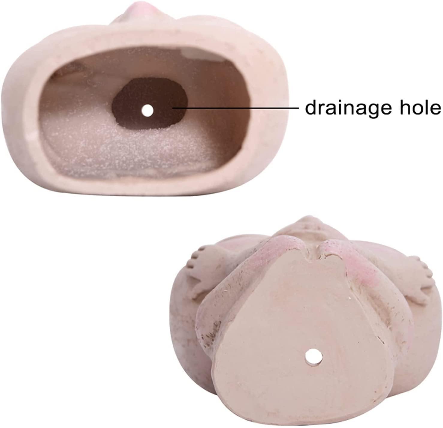 Blushing Face Planter