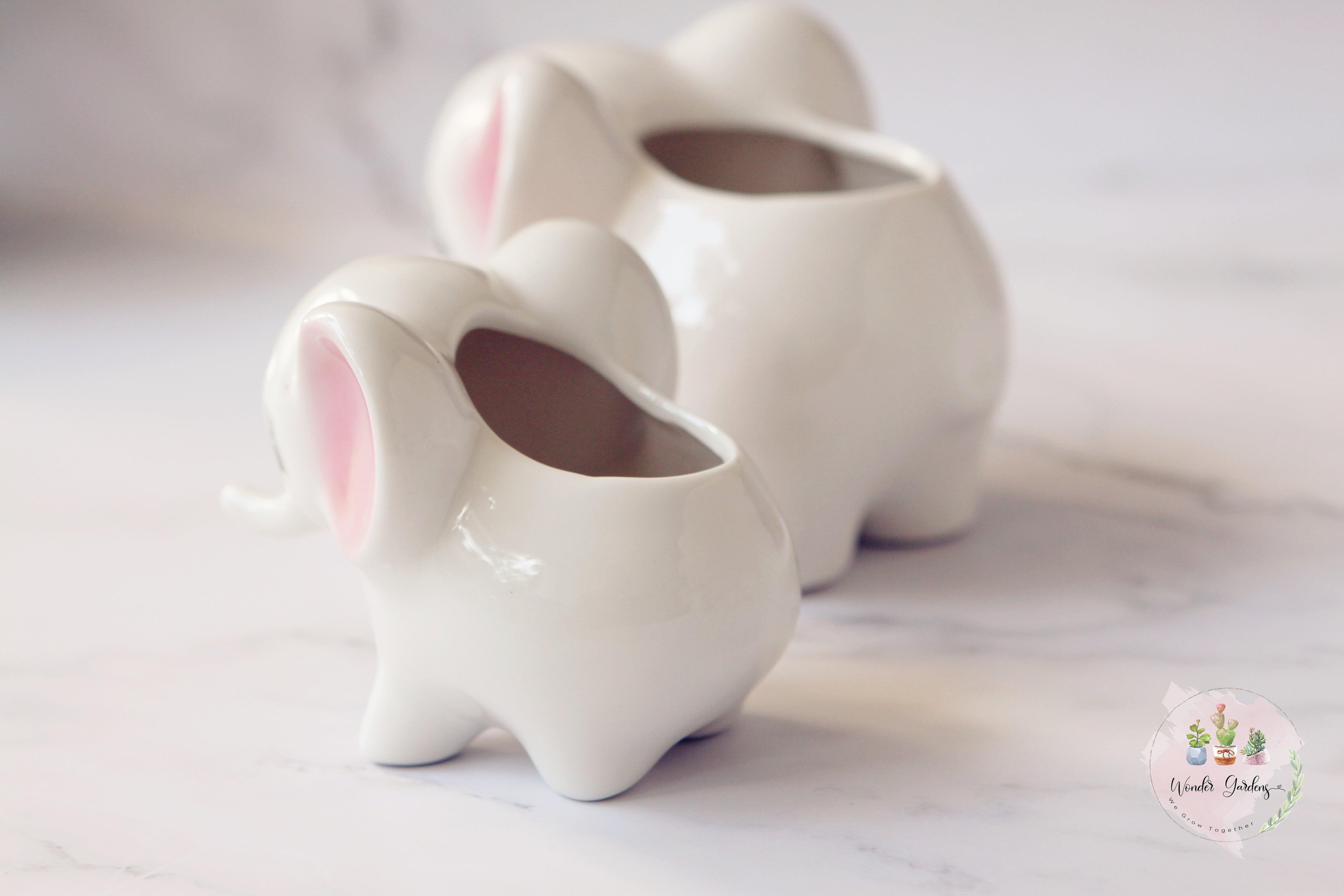 وعاء خزفي لنباتات العصاريات على شكل فيل