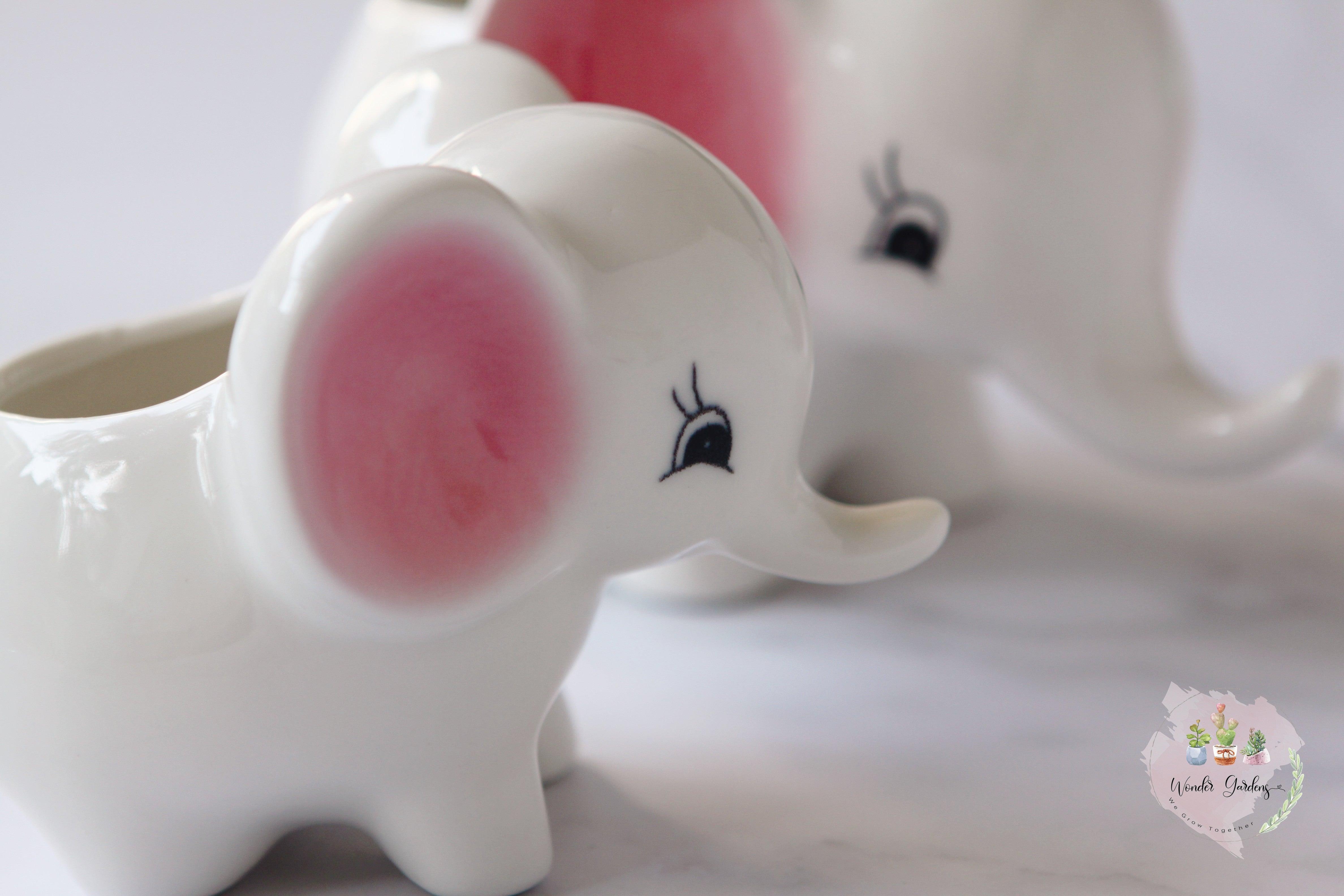 وعاء خزفي لنباتات العصاريات على شكل فيل