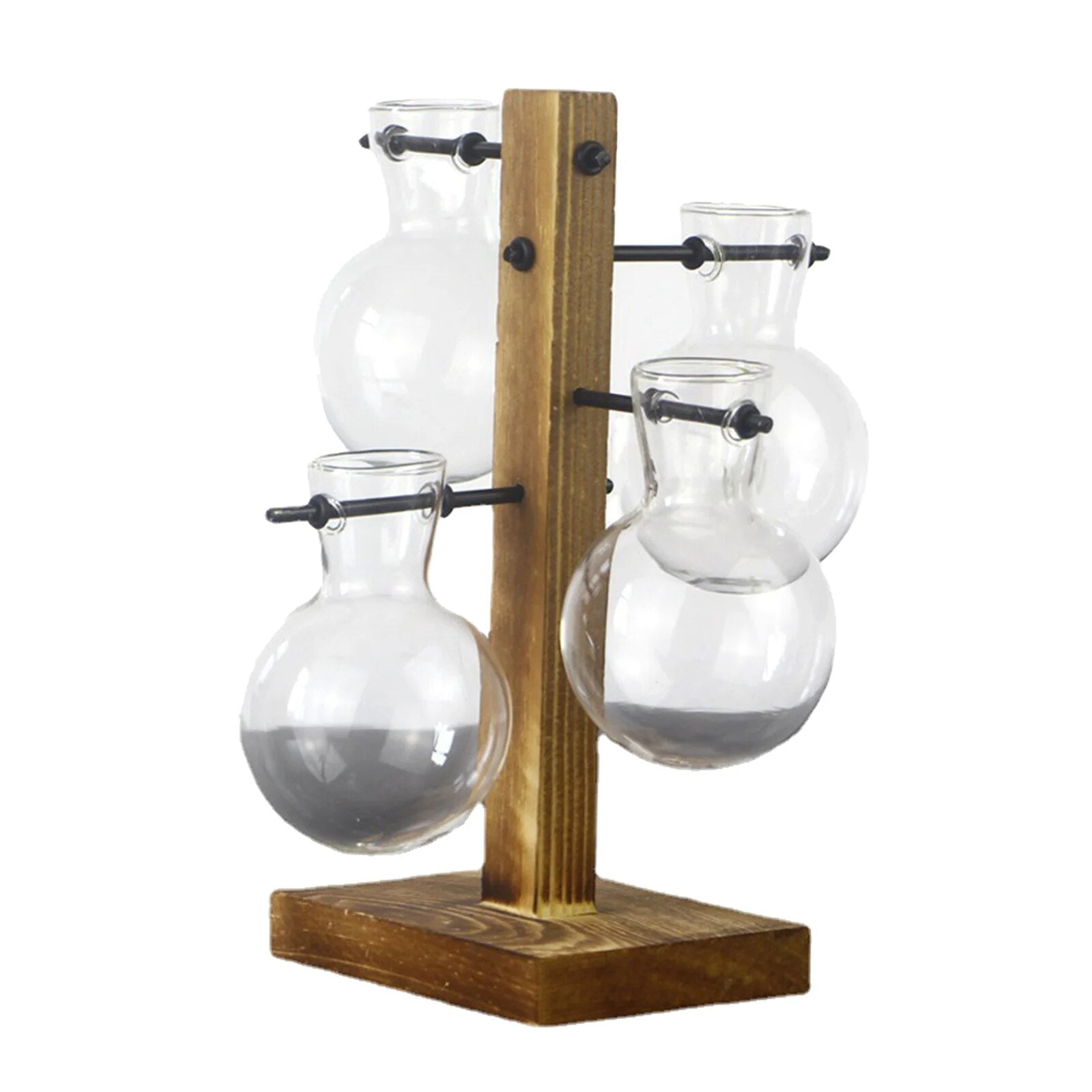 مزهرية أنبوب اختبار