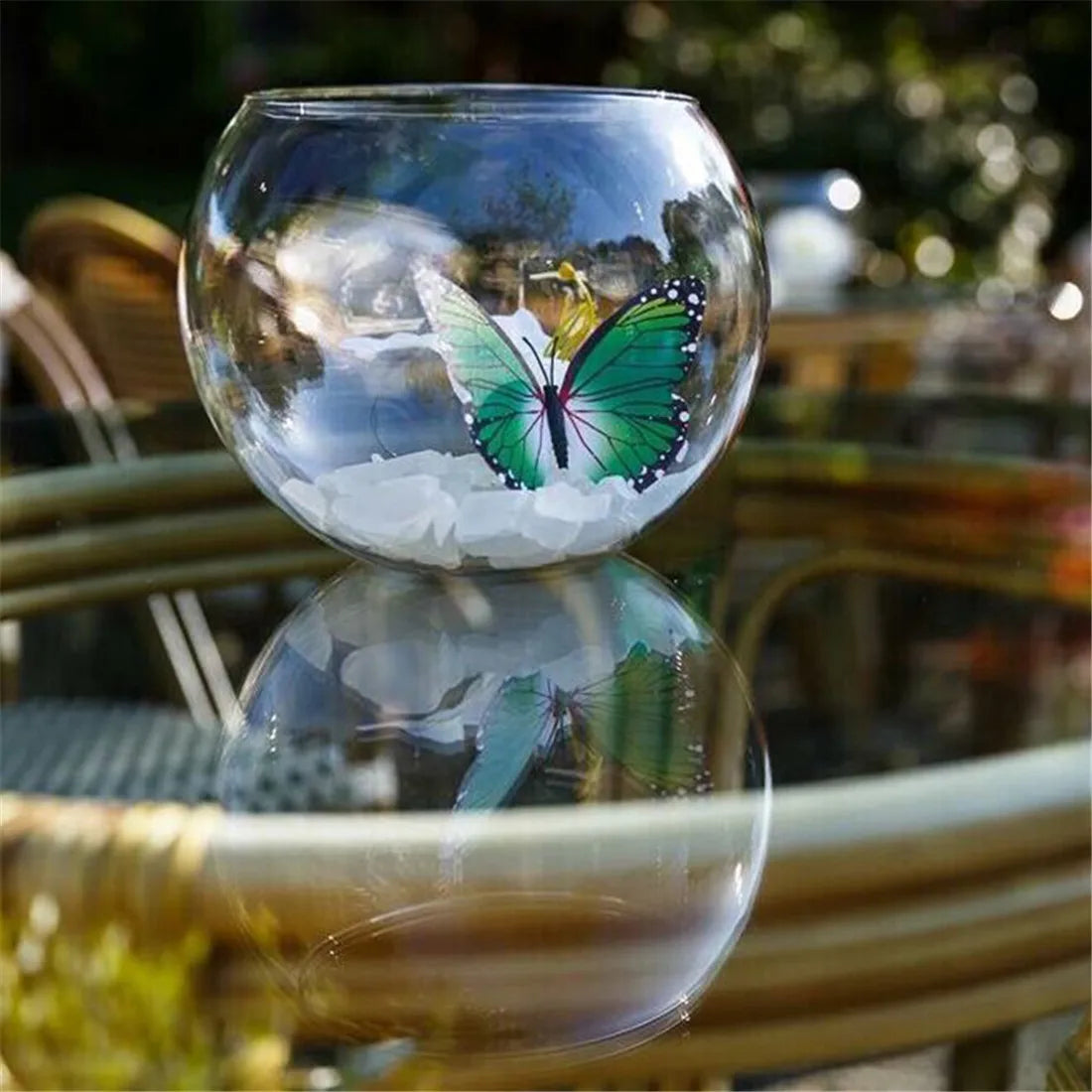 ملصقات حائط الفراشة ثلاثية الأبعاد