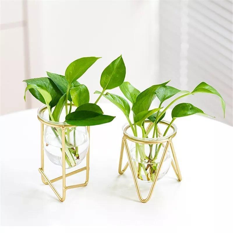 Glass Propagation Vase with Geometric Iron Stand