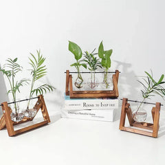 Glass Propagation Vase with A-Frame Wooden Stand